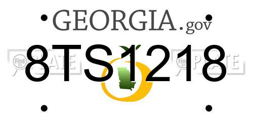 8TS1218 Georgia License Plate