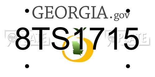 8TS1715 Georgia License Plate