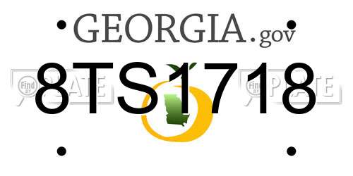 8TS1718 Georgia License Plate