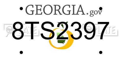 8TS2397 Georgia License Plate