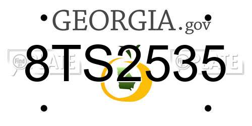 8TS2535 Georgia License Plate
