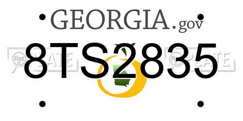8TS2835 Georgia License Plate