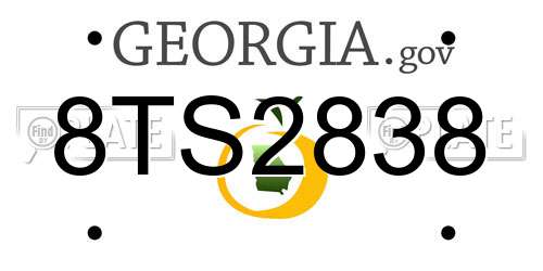 8TS2838 Georgia License Plate