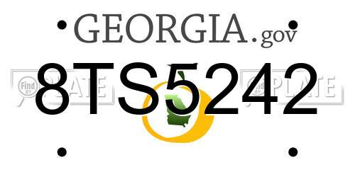 8TS5242 Georgia License Plate