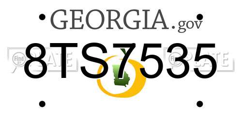 8TS7535 Georgia License Plate