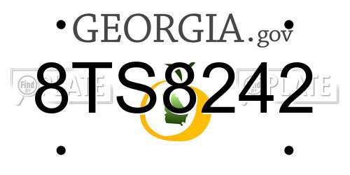 8TS8242 Georgia License Plate