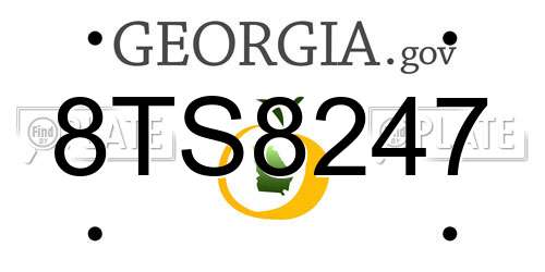 8TS8247 Georgia License Plate