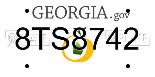 8TS8742 Georgia License Plate