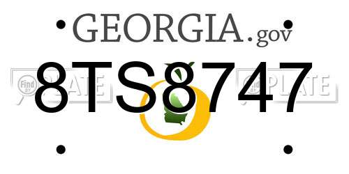 8TS8747 Georgia License Plate