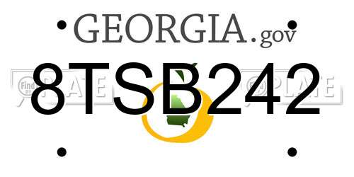 8TSB242 Georgia License Plate
