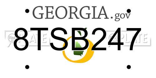 8TSB247 Georgia License Plate
