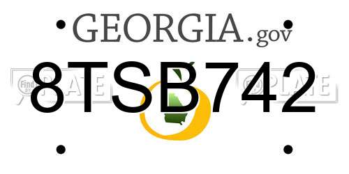 8TSB742 Georgia License Plate