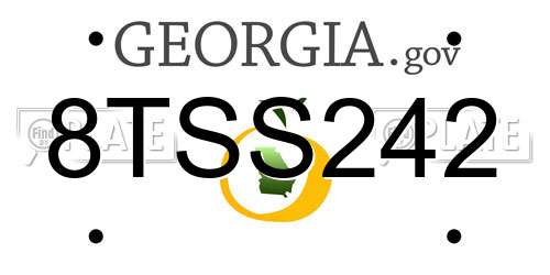 8TSS242 Georgia License Plate