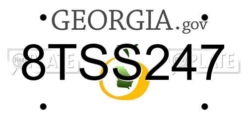 8TSS247 Georgia License Plate