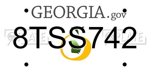 8TSS742 Georgia License Plate
