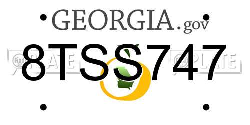 8TSS747 Georgia License Plate