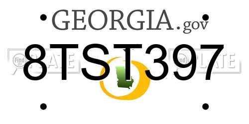 8TST397 Georgia License Plate
