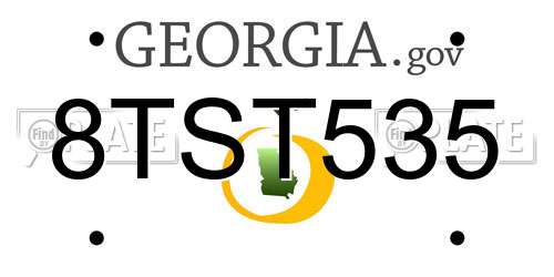 8TST535 Georgia License Plate