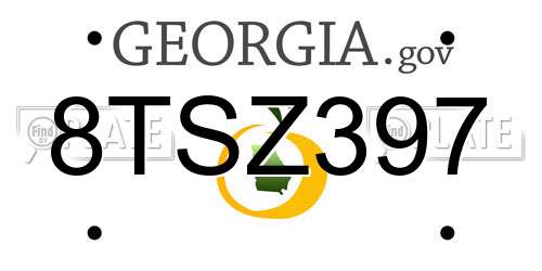 8TSZ397 Georgia License Plate