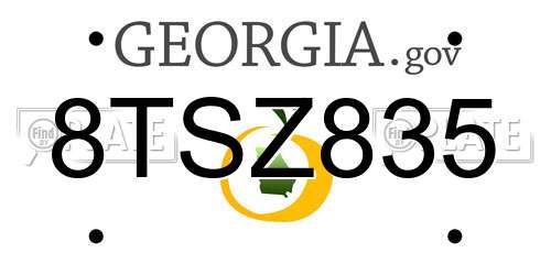 8TSZ835 Georgia License Plate
