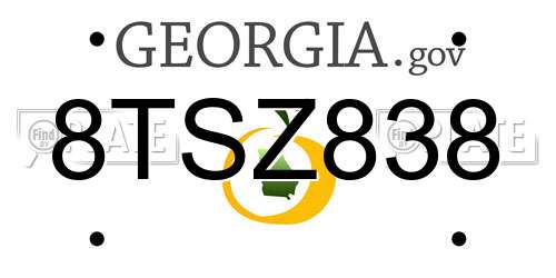 8TSZ838 Georgia License Plate