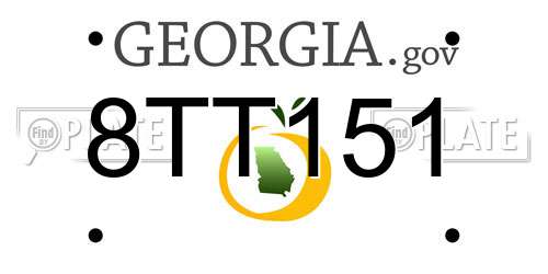 8TT151 Georgia License Plate