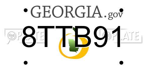8TTB91 Georgia License Plate