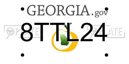 8TTL24 Georgia License Plate
