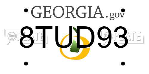 8TUD93 Georgia License Plate