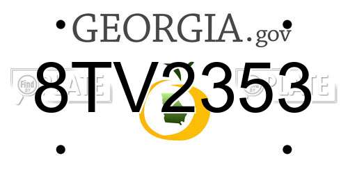 8TV2353 Georgia License Plate