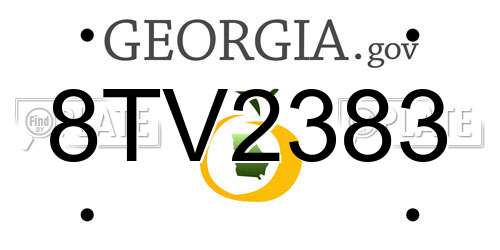 8TV2383 Georgia License Plate