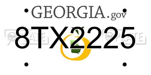 8TX2225 Georgia License Plate