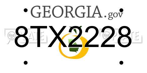8TX2228 Georgia License Plate