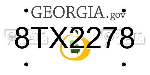 8TX2278 Georgia License Plate