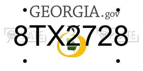 8TX2728 Georgia License Plate