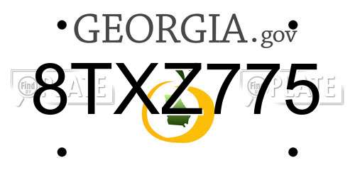 8TXZ775 Georgia License Plate