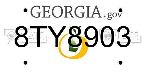 8TY8903 Georgia License Plate