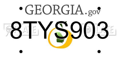 8TYS903 Georgia License Plate