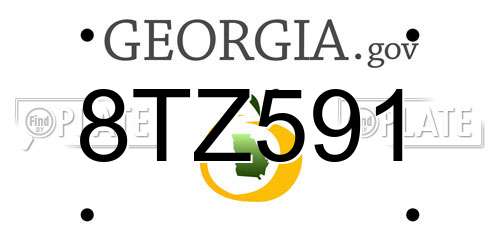 8TZ591 Georgia License Plate