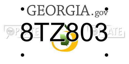 8TZ803 Georgia License Plate