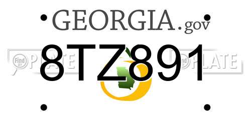 8TZ891 Georgia License Plate