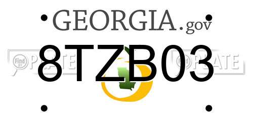 8TZB03 Georgia License Plate