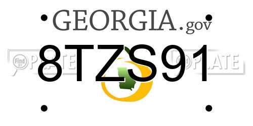 8TZS91 Georgia License Plate