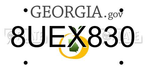 8UEX830 Georgia License Plate