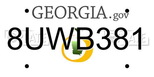 8UWB381 Georgia License Plate