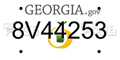 8V44253 Georgia License Plate