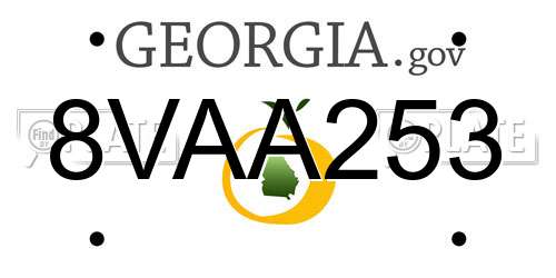 8VAA253 Georgia License Plate