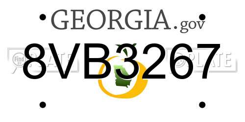 8VB3267 Georgia License Plate