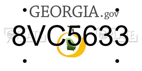 8VC5633 Georgia License Plate