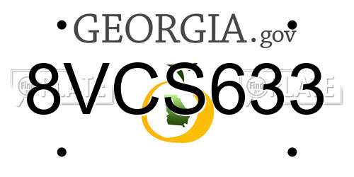 8VCS633 Georgia License Plate